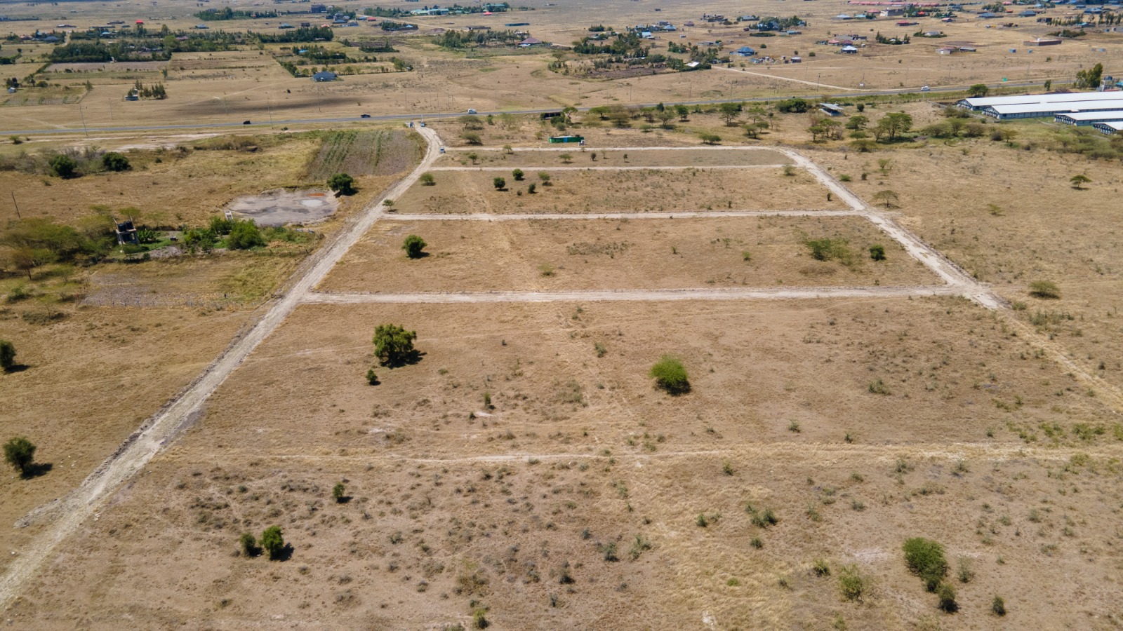 WhatsApp Image 2025-08-12 at 15.03.08