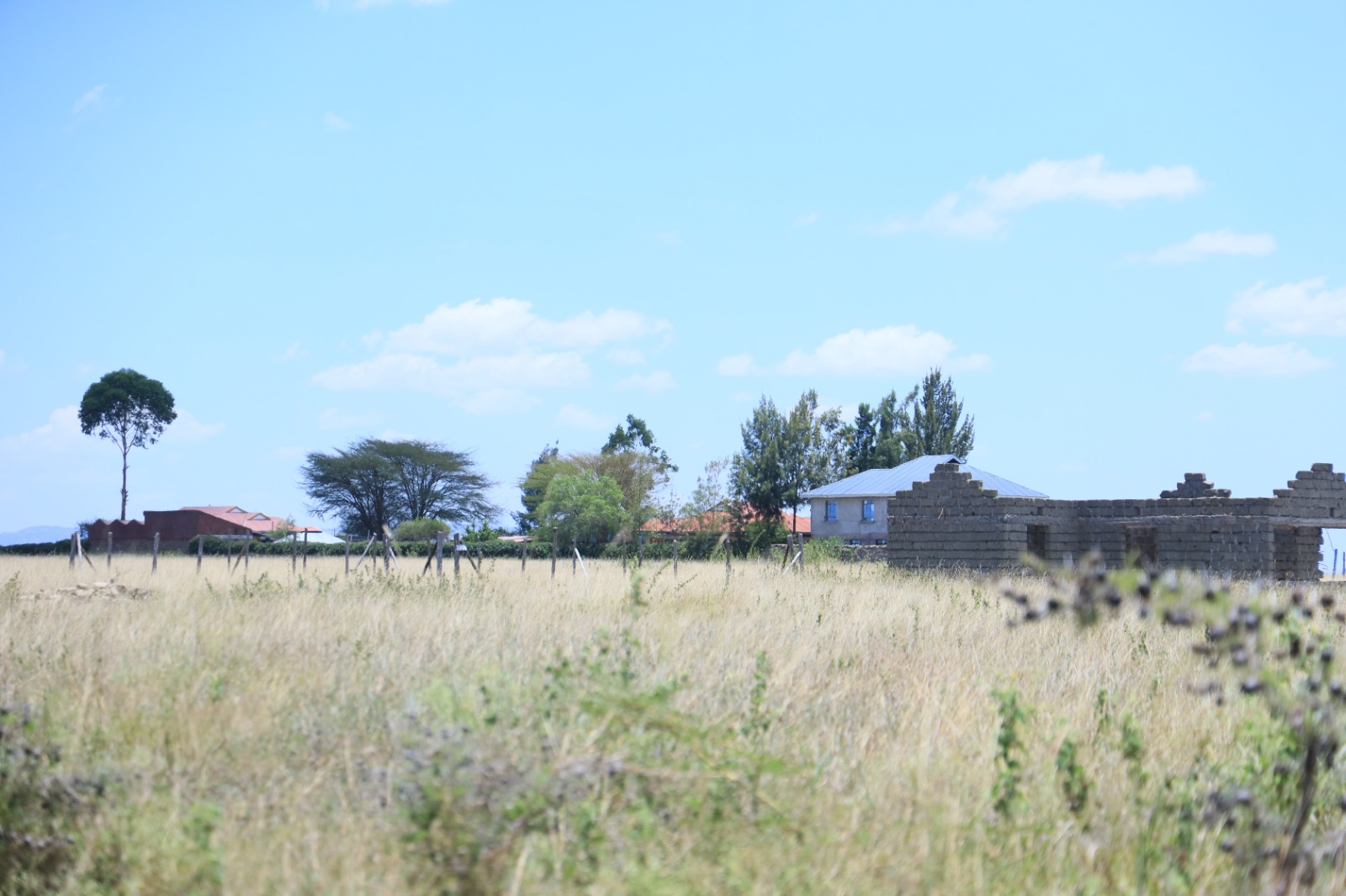 WhatsApp Image 2025-08-12 at 15.24.53